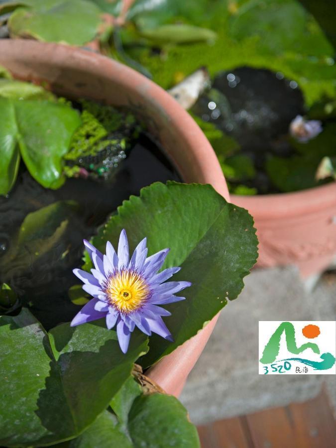 3520 Homestay Taitung Екстериор снимка